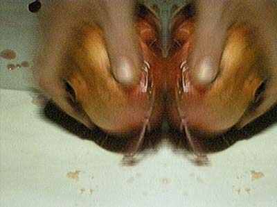raptures2